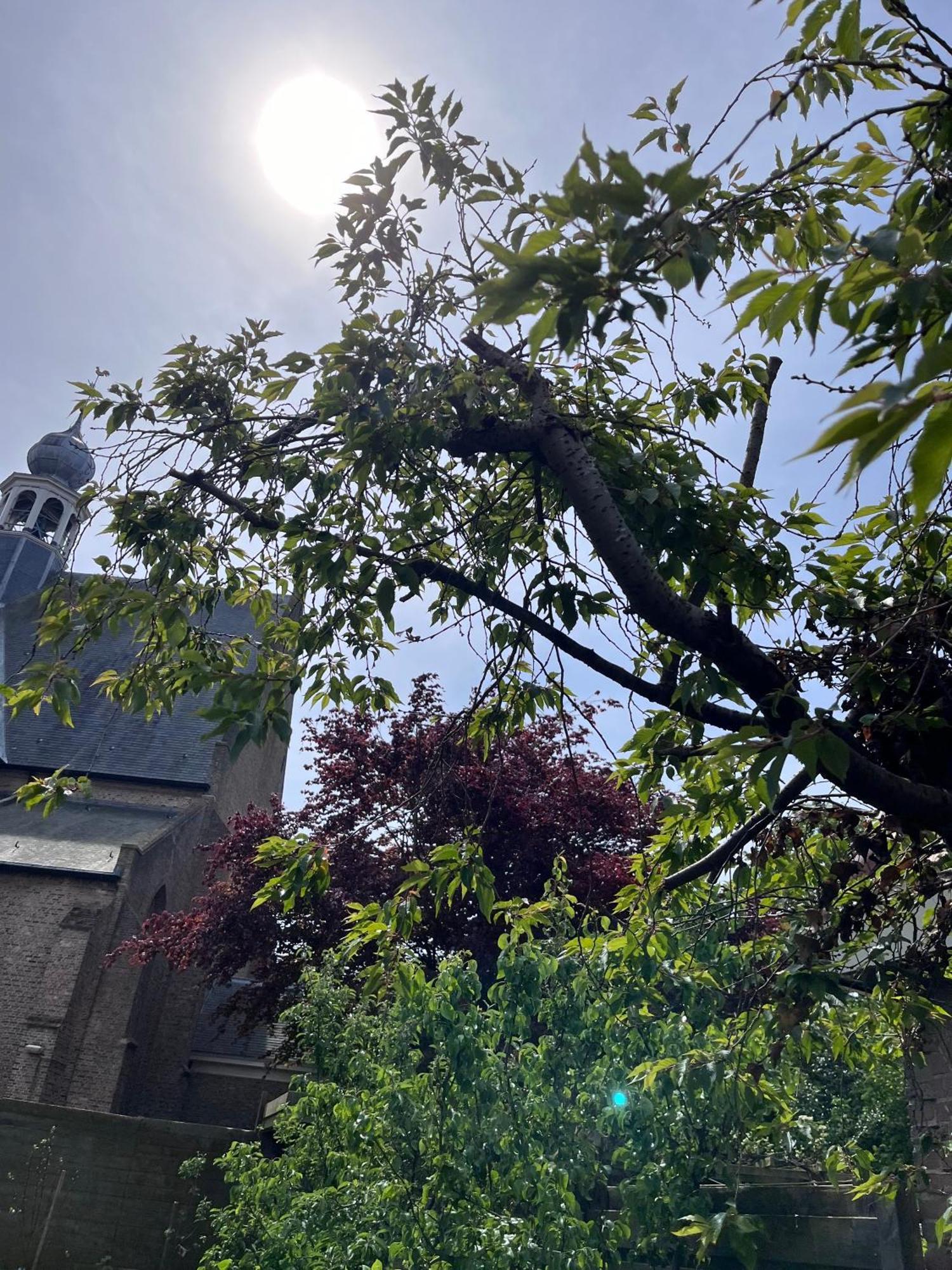 Appartement 'T-Yesenaertje Yerseke Bagian luar foto